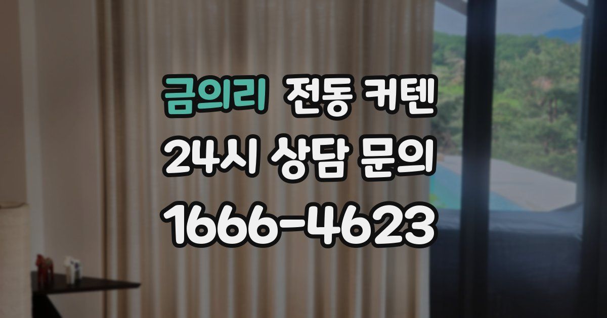 금의리 전동 커텐