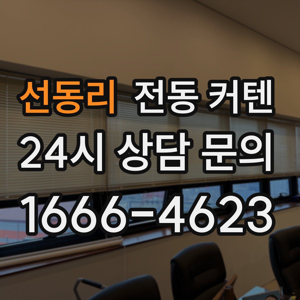 선동리 전동 커텐