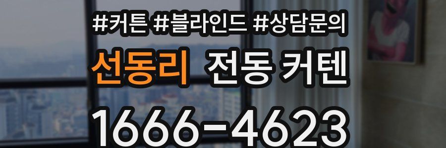 선동리 전동 커텐