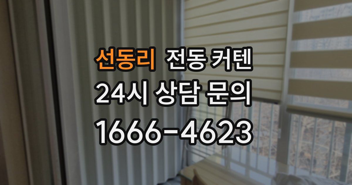 선동리 전동 커텐
