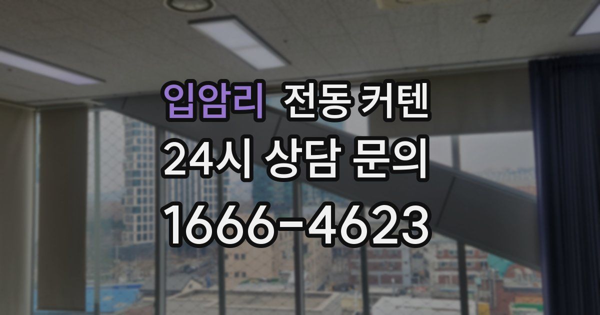 입암리 전동 커텐