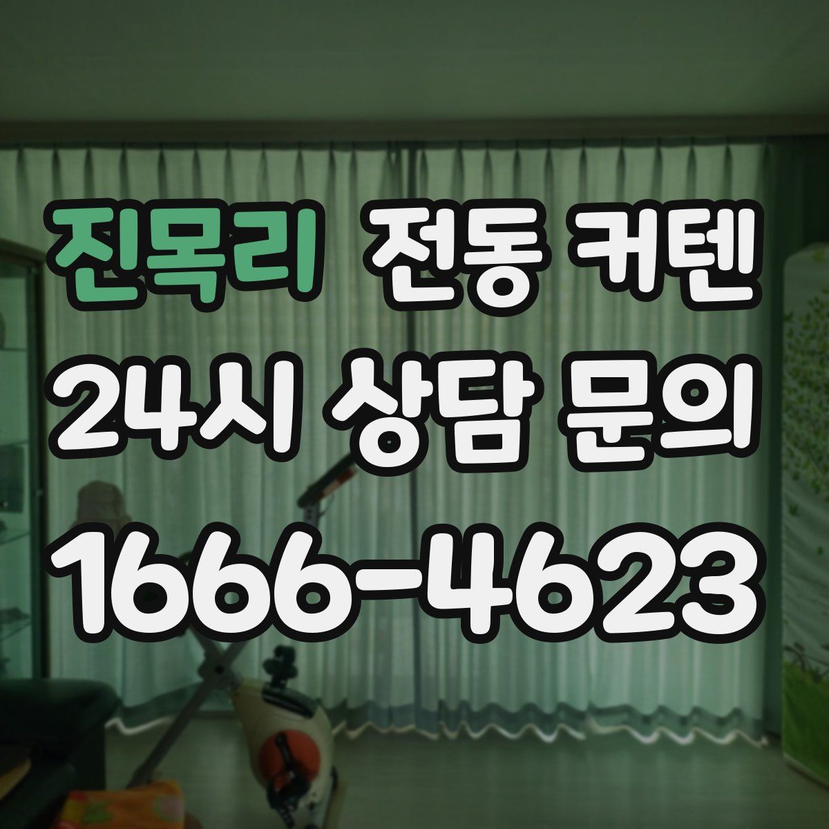 진목리 전동 커텐