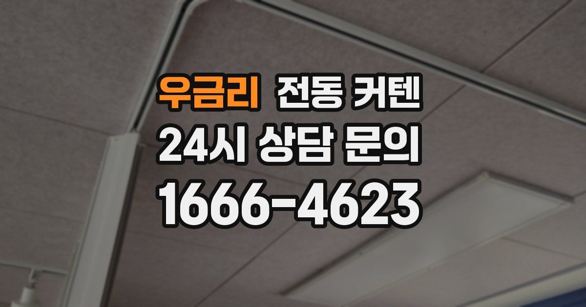 우금리 전동 커텐