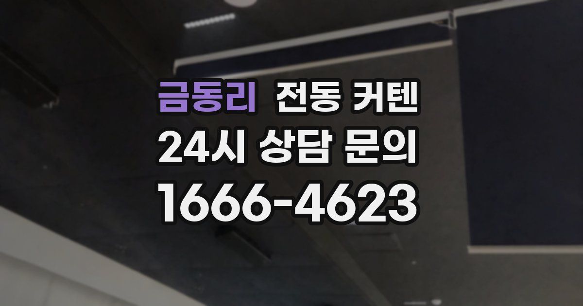 금동리 전동 커텐