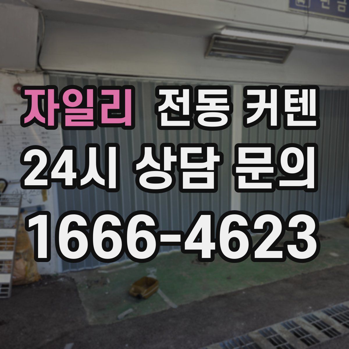 자일리 전동 커텐