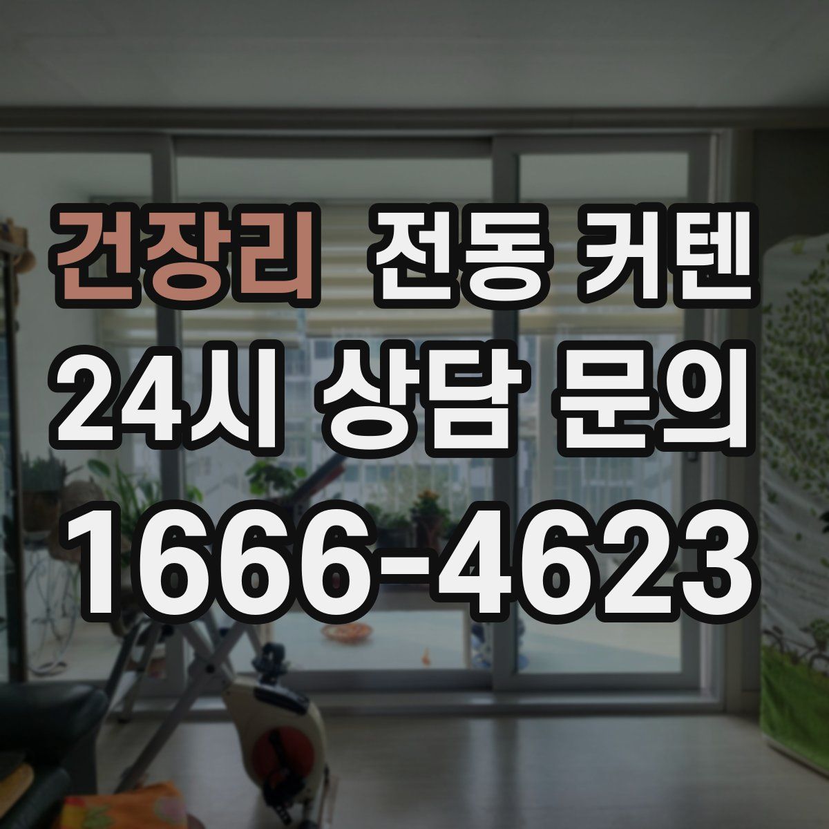 건장리 전동 커텐
