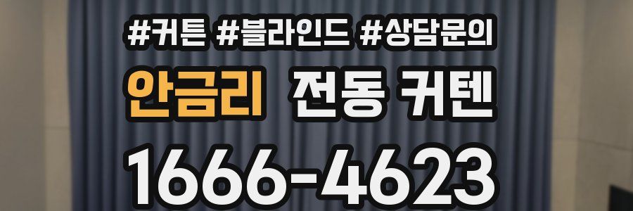 안금리 전동 커텐