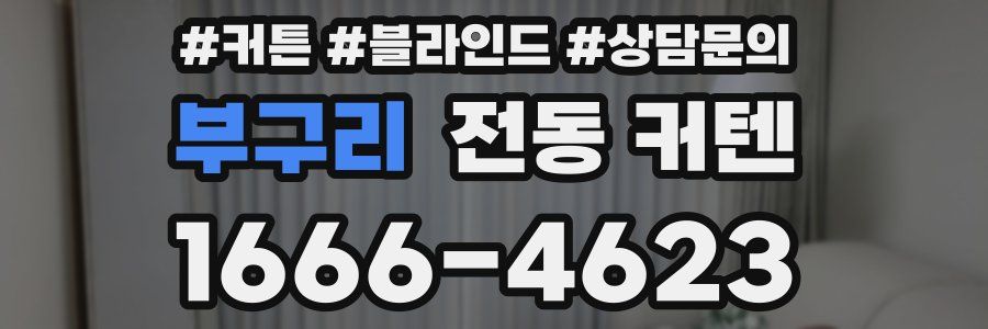 부구리 전동 커텐