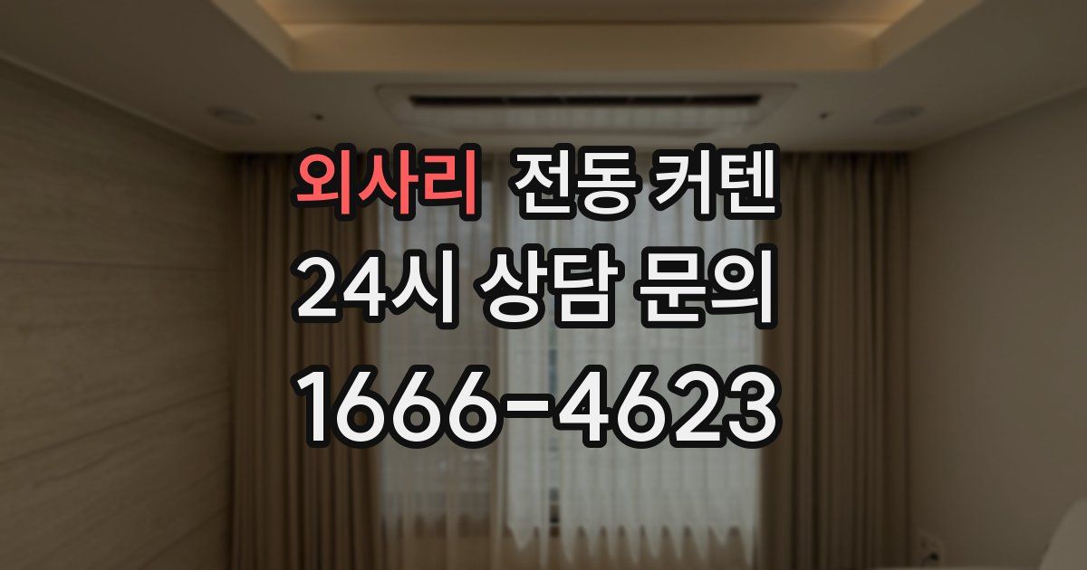 외사리 전동 커텐