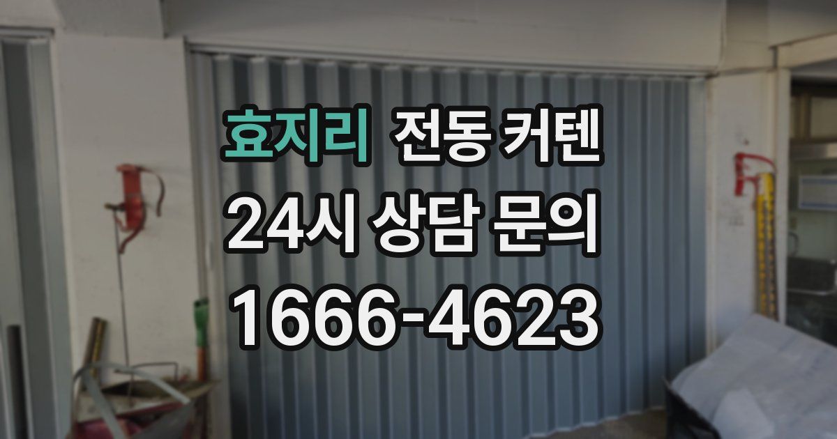 효지리 전동 커텐