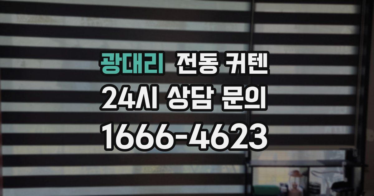 광대리 전동 커텐