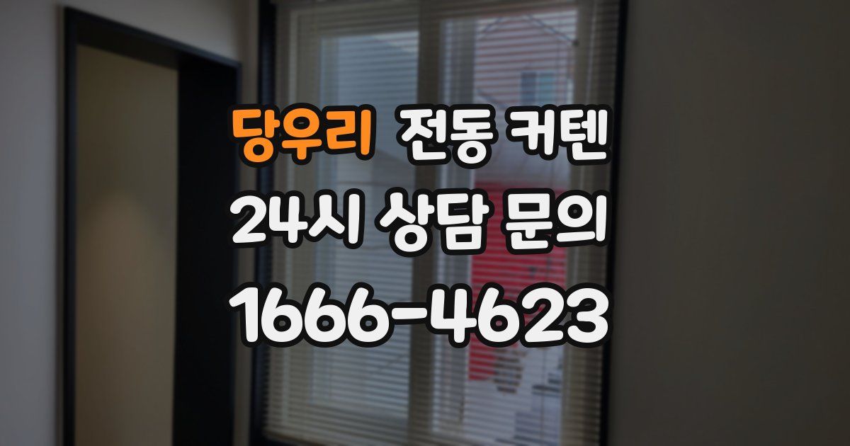 당우리 전동 커텐