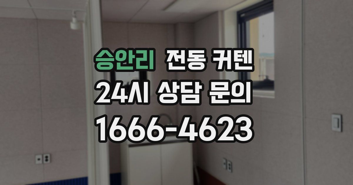 승안리 전동 커텐