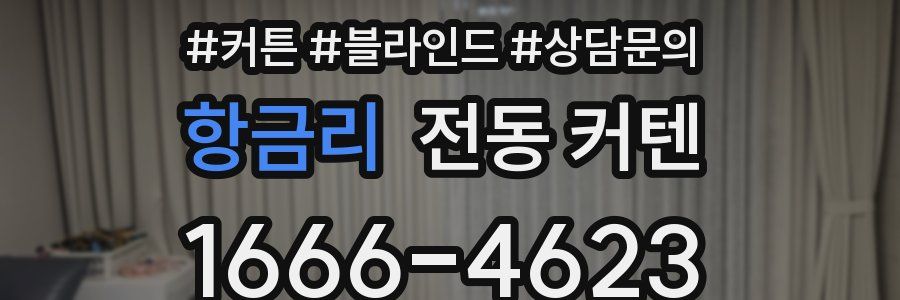항금리 전동 커텐