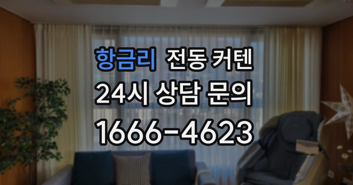 항금리 전동 커텐