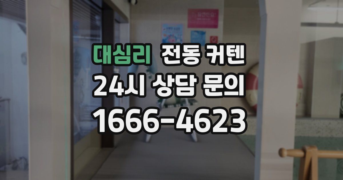 대심리 전동 커텐