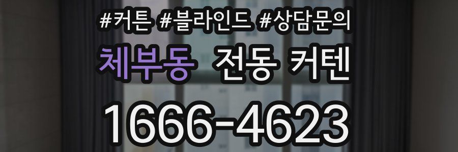 체부동 전동 커텐