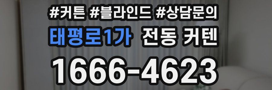 태평로1가 전동 커텐