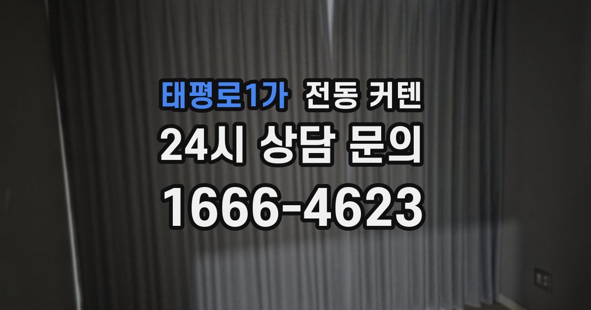태평로1가 전동 커텐