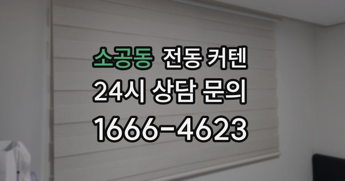 소공동 전동 커텐