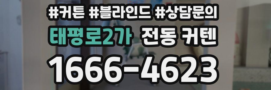 태평로2가 전동 커텐