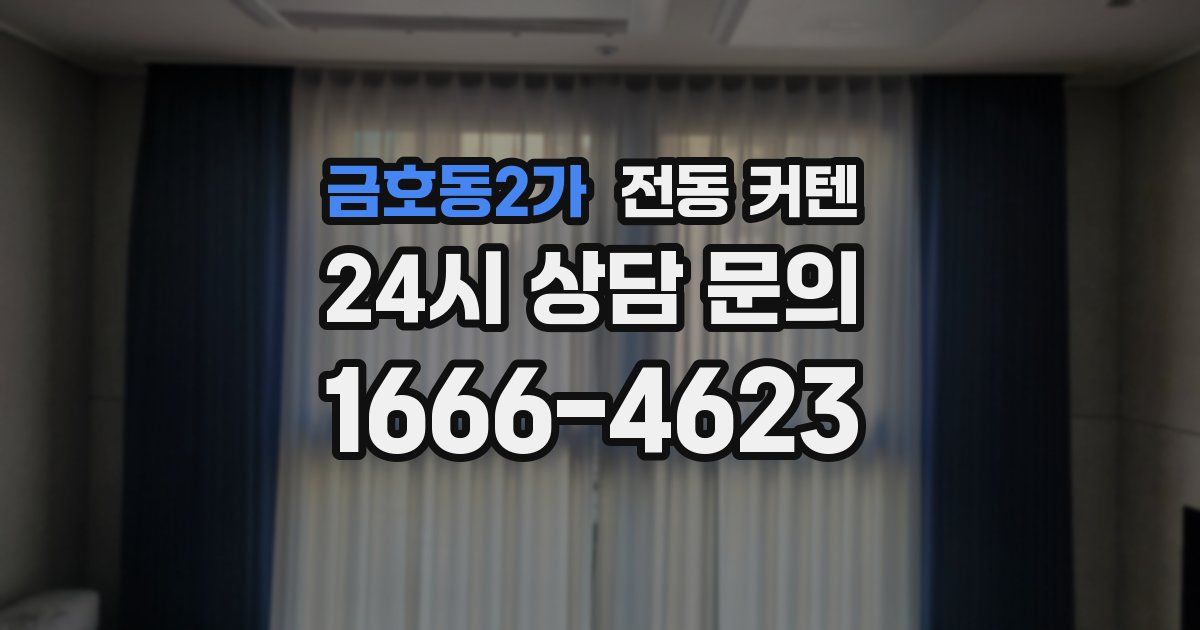 금호동2가 전동 커텐