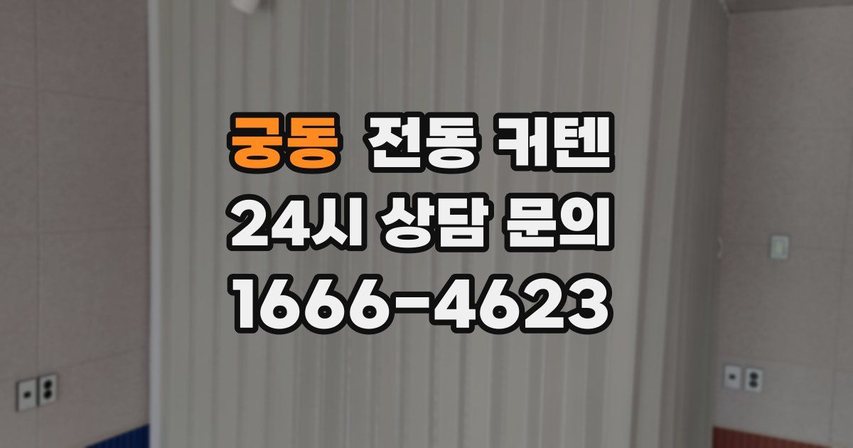궁동 전동 커텐