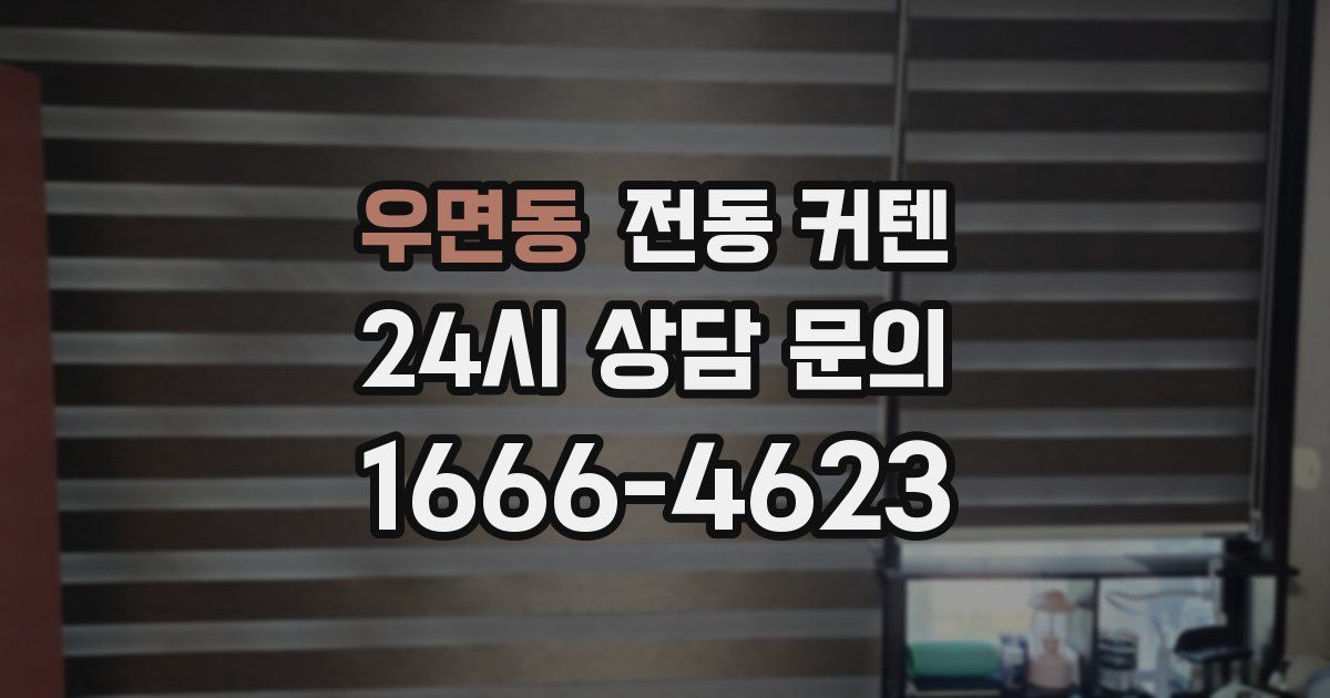 우면동 전동 커텐