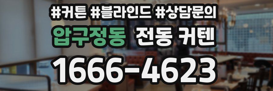 압구정동 전동 커텐