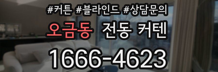 오금동 전동 커텐