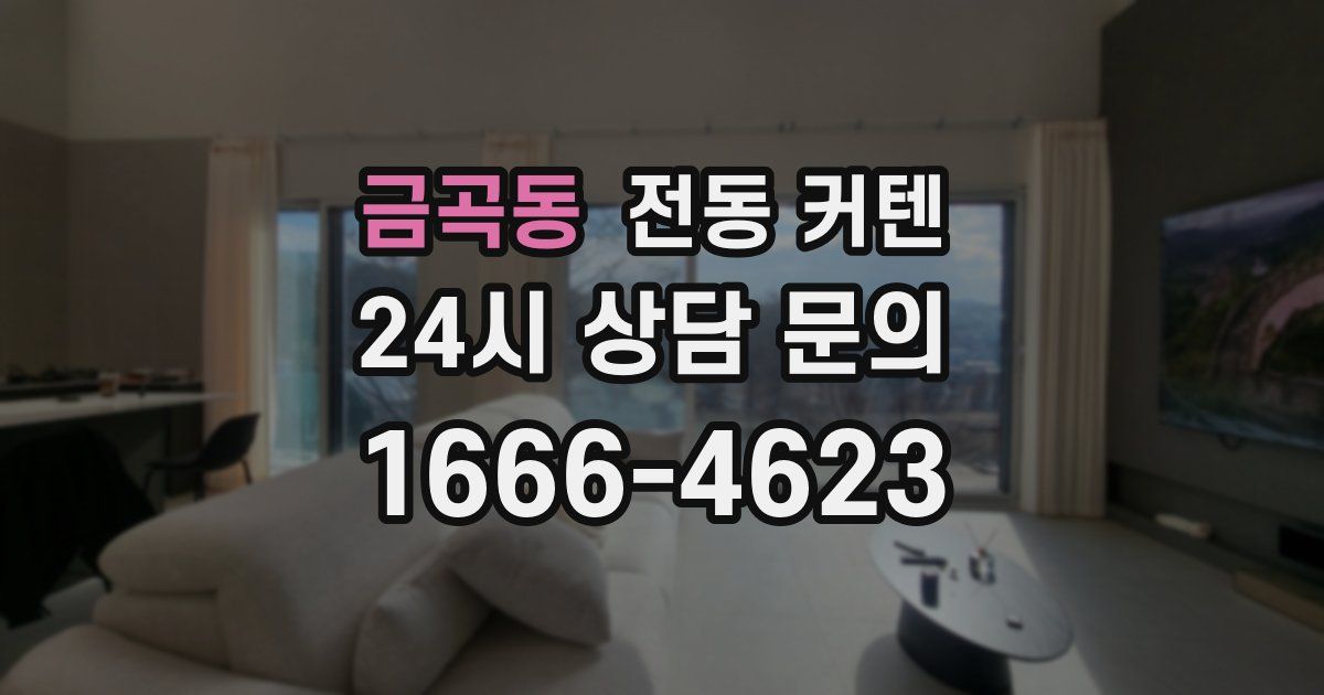 금곡동 전동 커텐