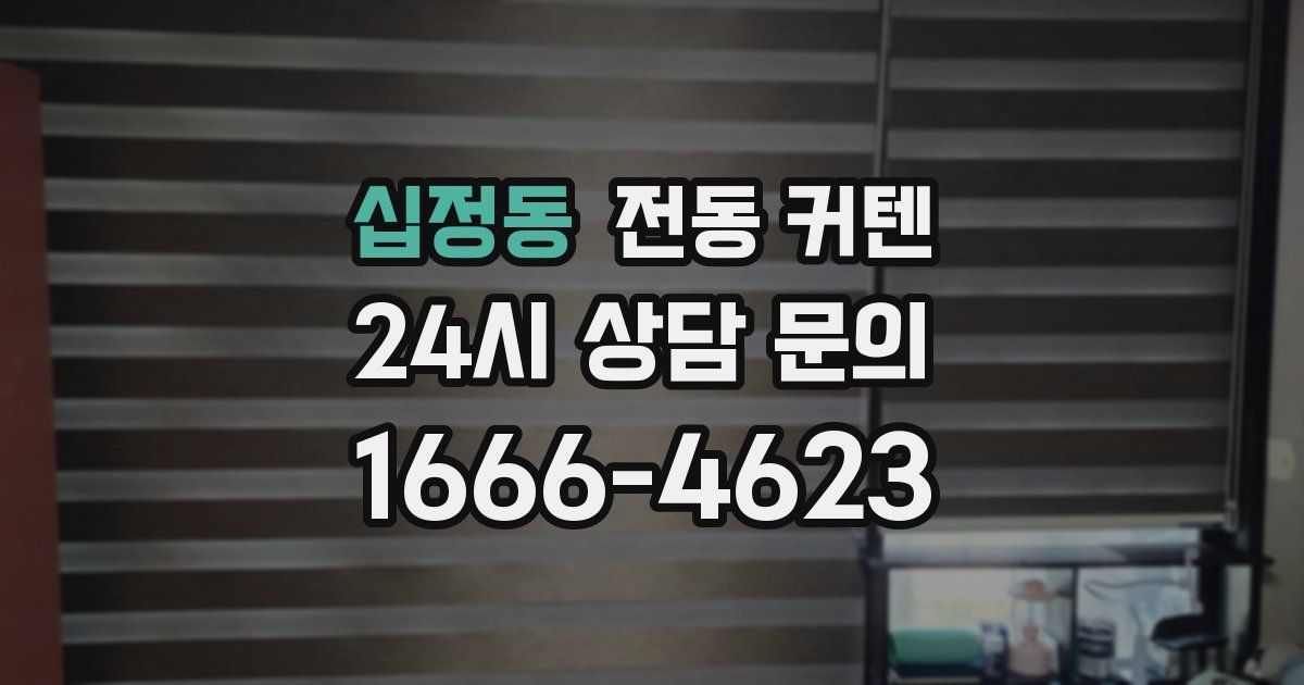 십정동 전동 커텐