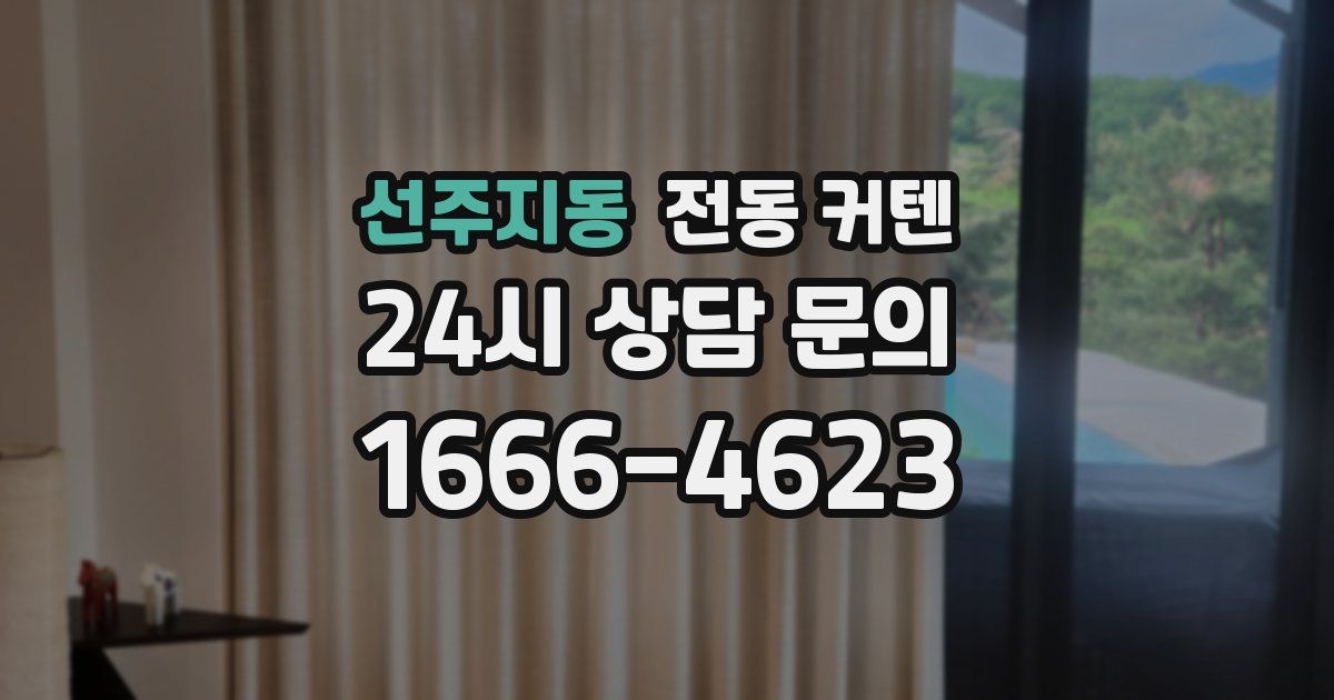 선주지동 전동 커텐