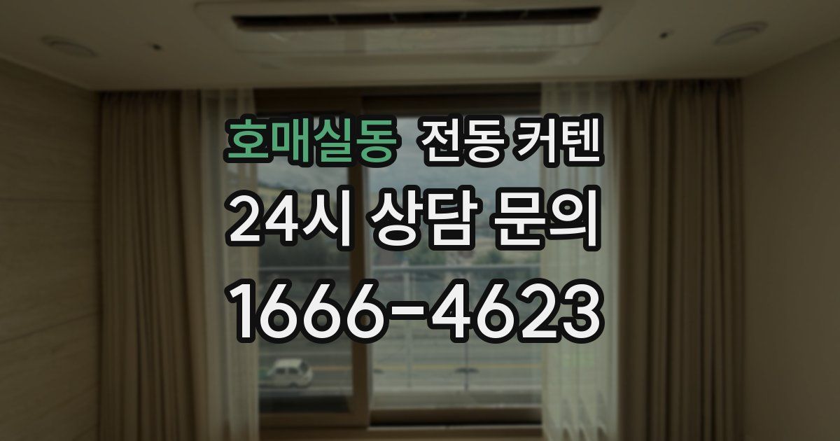 호매실동 전동 커텐