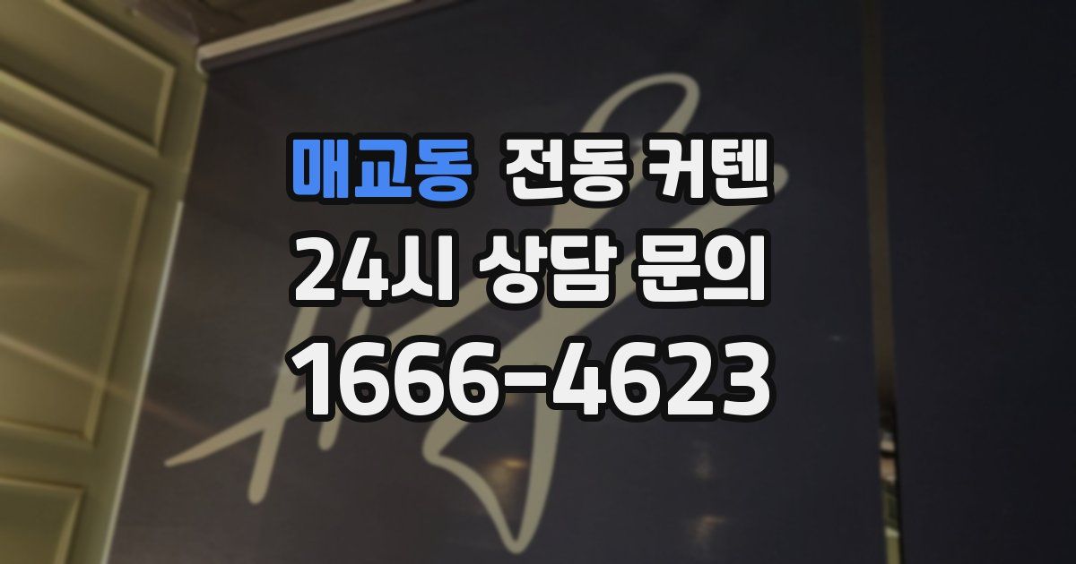 매교동 전동 커텐