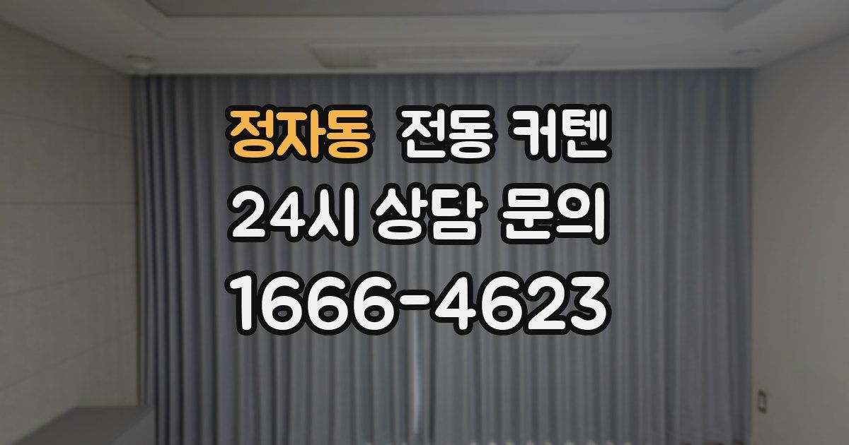 정자동 전동 커텐