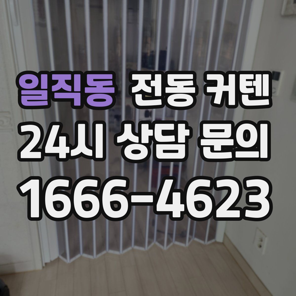 일직동 전동 커텐