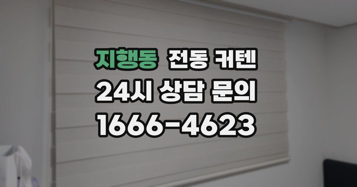 지행동 전동 커텐