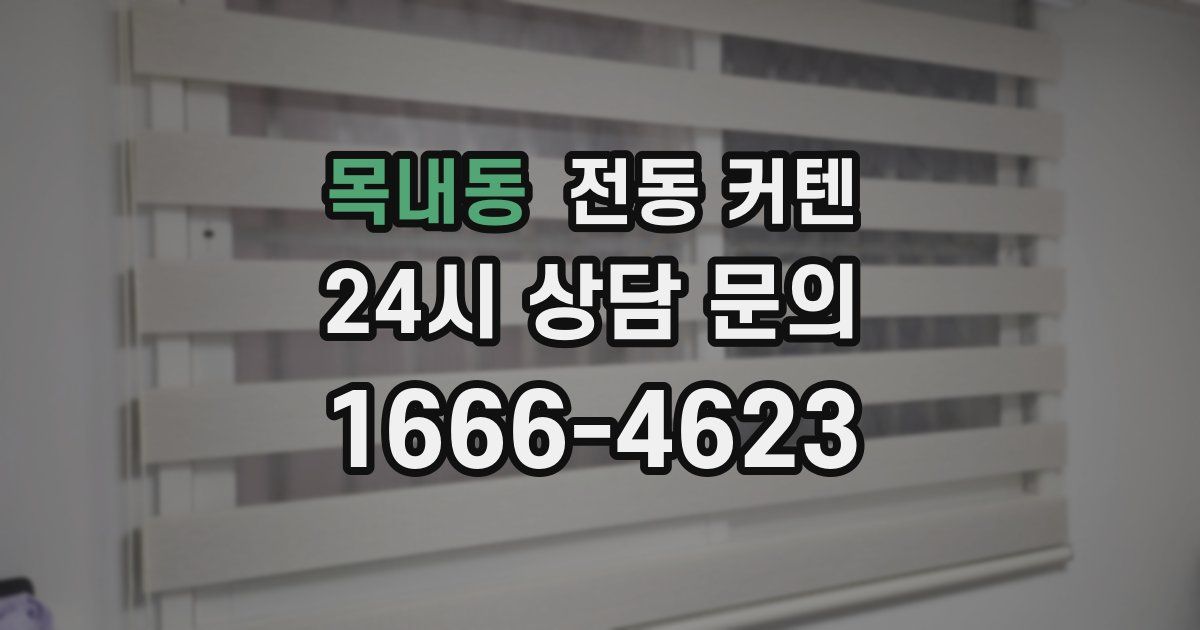 목내동 전동 커텐