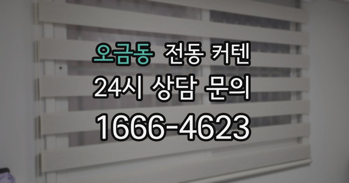 오금동 전동 커텐
