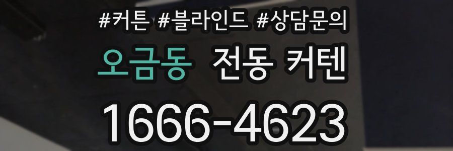 오금동 전동 커텐