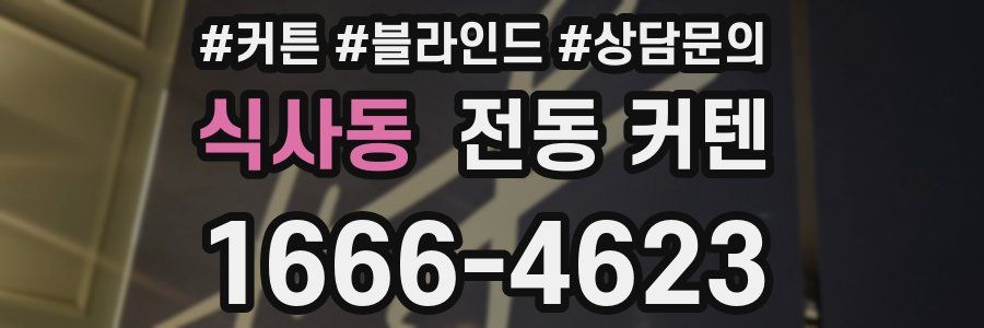 식사동 전동 커텐
