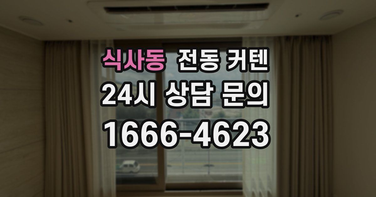 식사동 전동 커텐