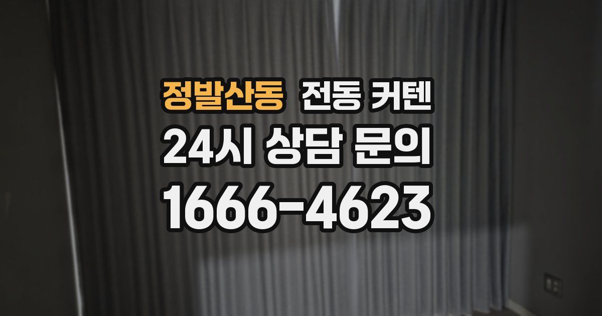 정발산동 전동 커텐