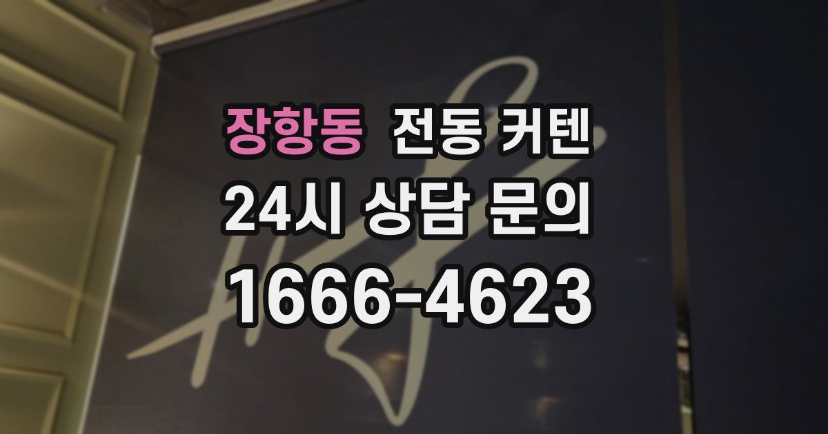 장항동 전동 커텐