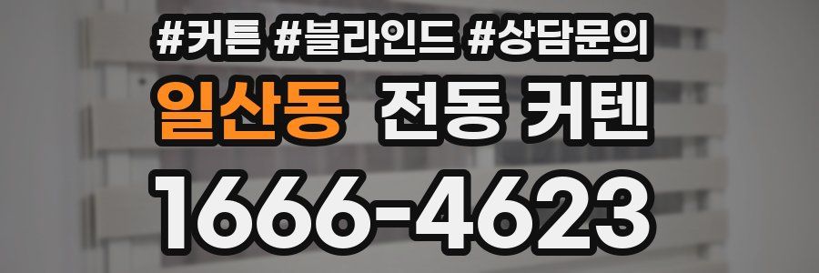 일산동 전동 커텐