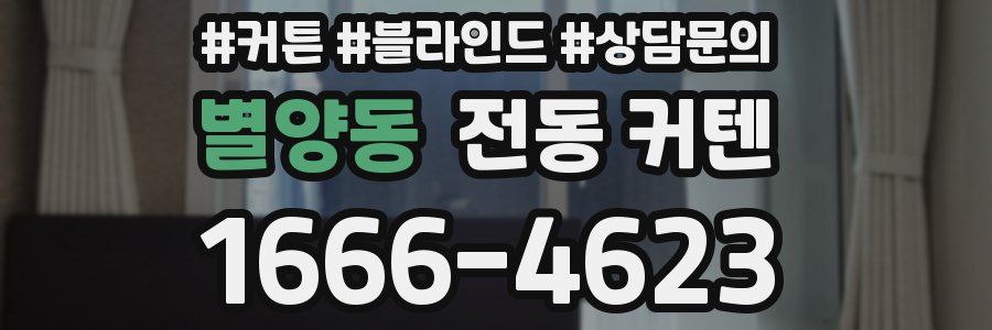 별양동 전동 커텐