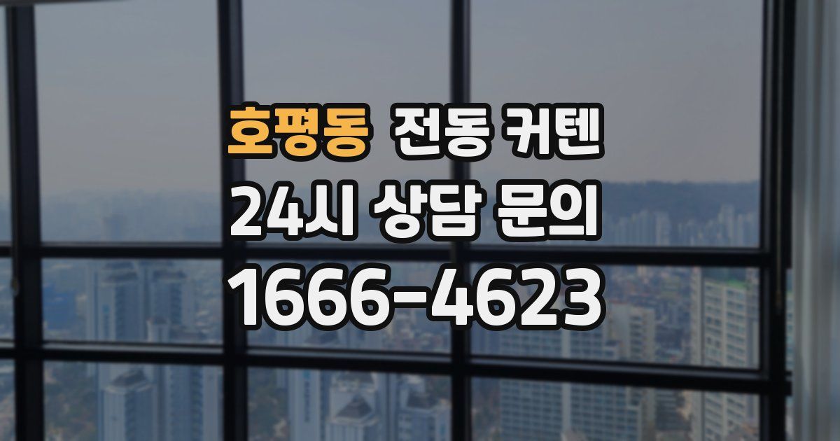 호평동 전동 커텐
