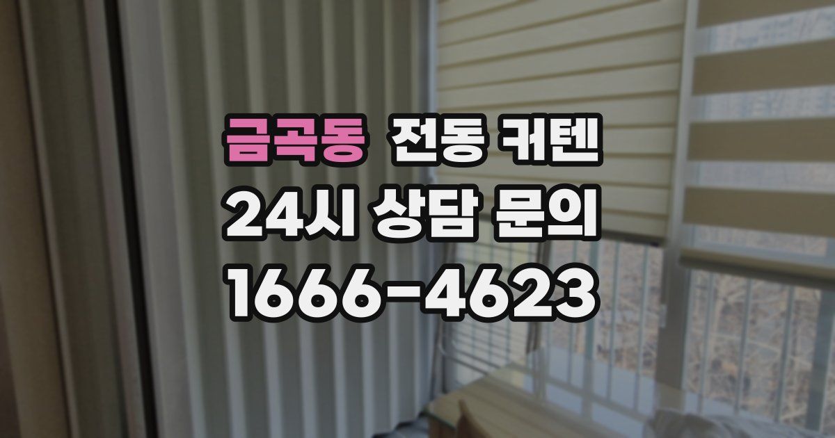 금곡동 전동 커텐