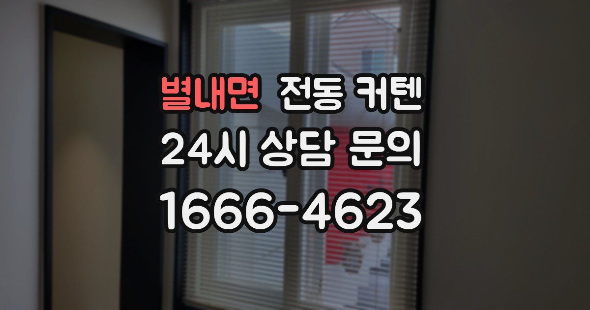 별내면 전동 커텐